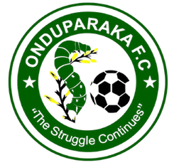小象足球俱乐部